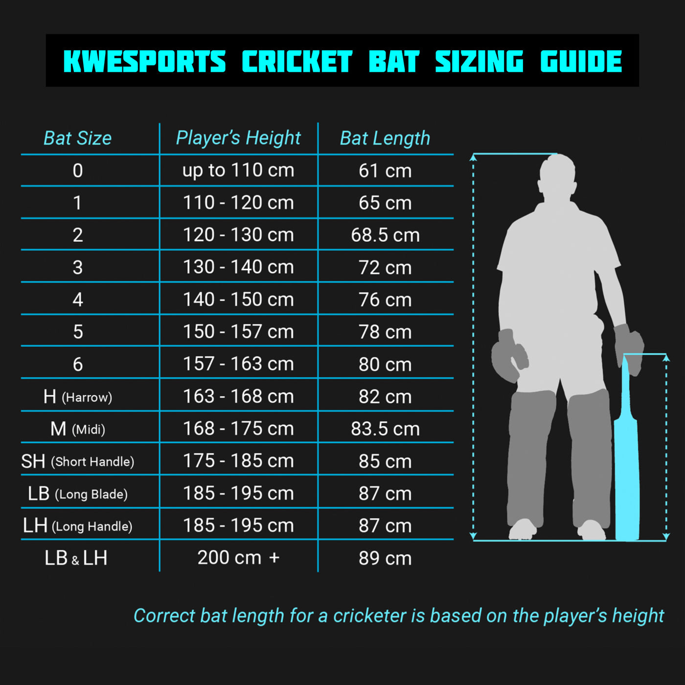 Msd Using Bat Name HYBRID MSD EDITION Season Cricket Bat – Kwesports